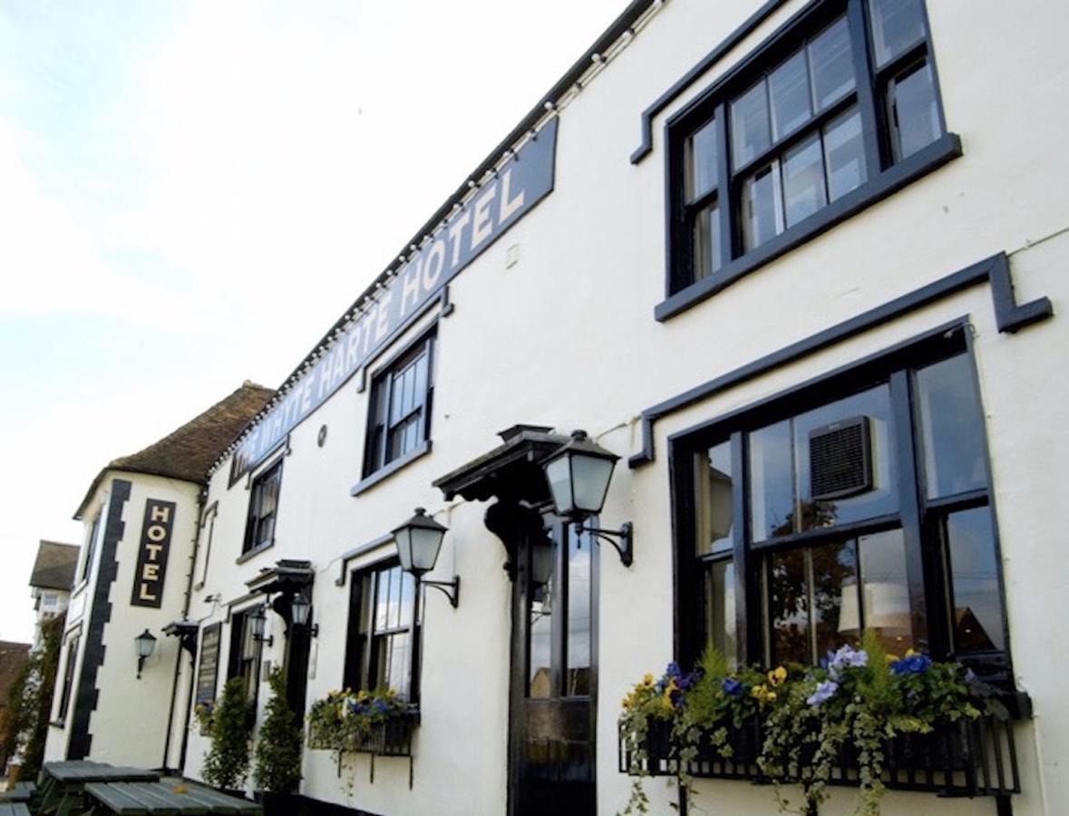 Whyte Harte Hotel Redhill  Dış mekan fotoğraf