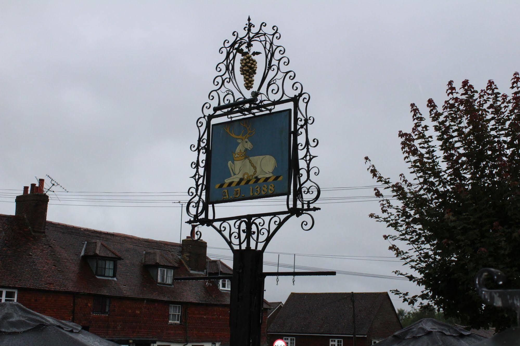 Whyte Harte Hotel Redhill  Dış mekan fotoğraf
